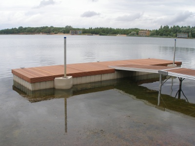 Pontoon and ramp